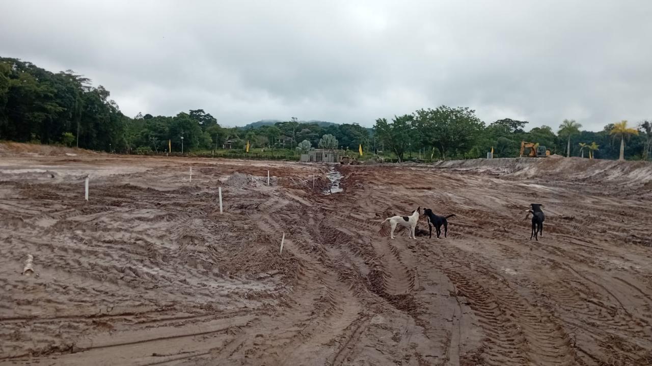 WhatsApp Image 2026-01-04 at 15.17.23 (1).jpeg